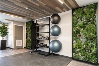 a fitness room with a green wall and exercise balls